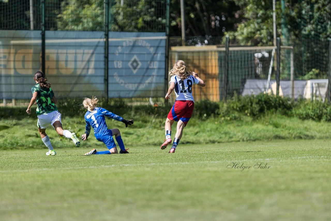 Bild 381 - wBJ Hamburger SV - VfL Wolfsburg : Ergebnis: 5:1